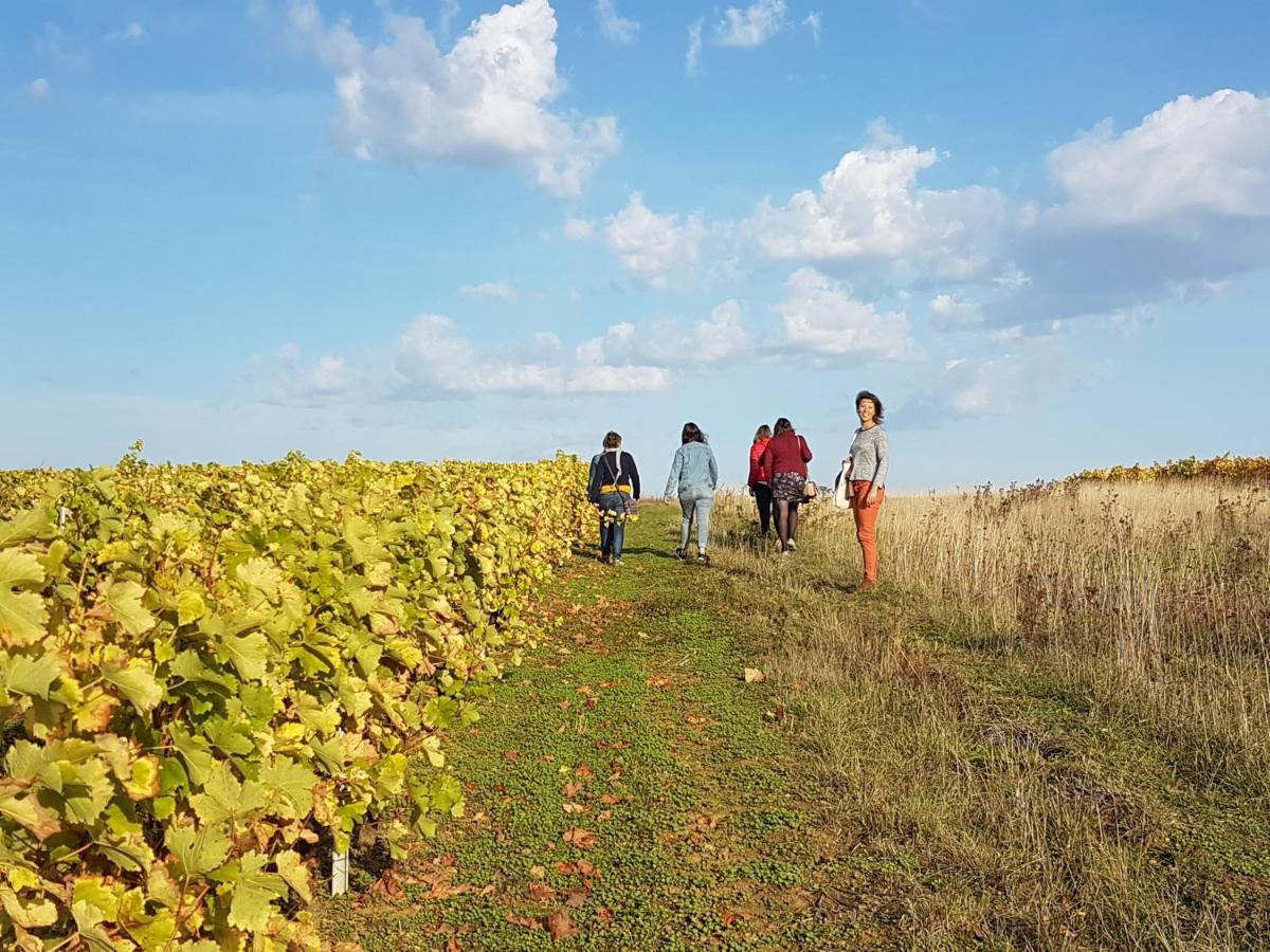 Aux Nids D'Hirondelles Daire Pouilly-sur-Loire Dış mekan fotoğraf