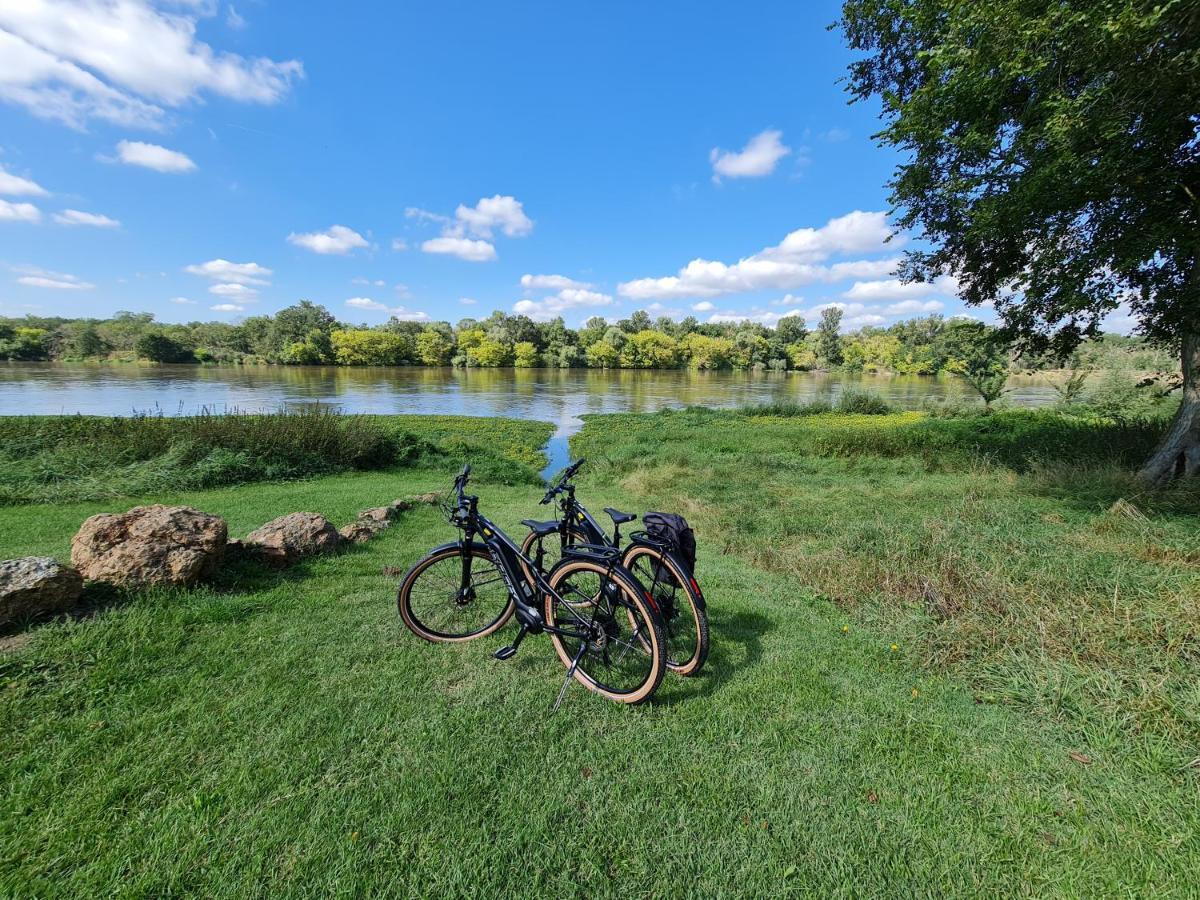 Aux Nids D'Hirondelles Daire Pouilly-sur-Loire Dış mekan fotoğraf